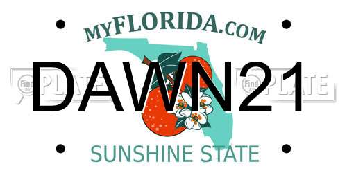 DAWN21 Florida License Plate
