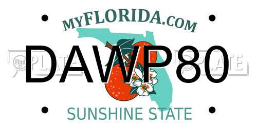 DAWP80 Florida License Plate
