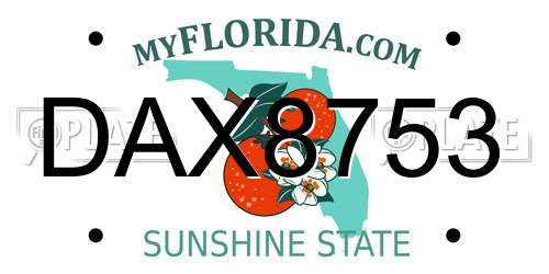 DAX8753 Florida License Plate