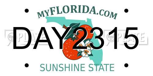 DAY2315 Florida License Plate