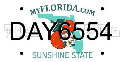 DAY6554 Florida License Plate