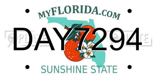 DAY7294 Florida License Plate