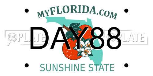DAY88 Florida License Plate