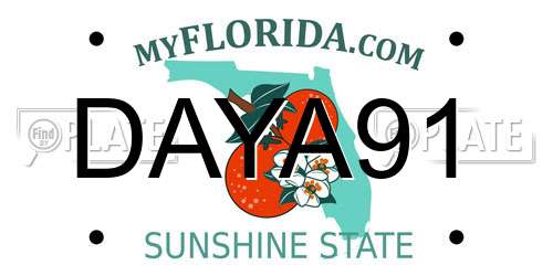 DAYA91 Florida License Plate