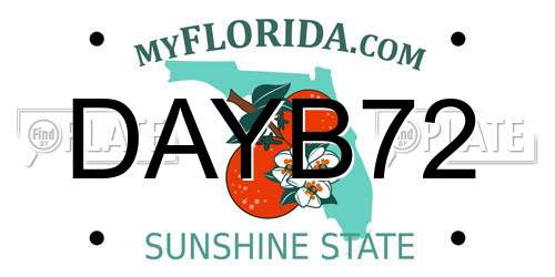 DAYB72 Florida License Plate