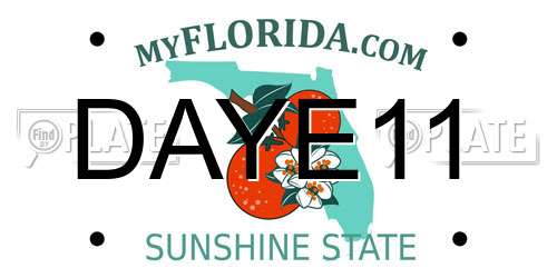 DAYE11 Florida License Plate