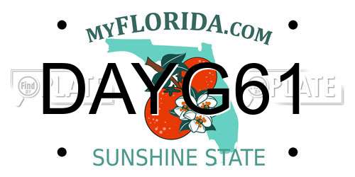 DAYG61 Florida License Plate