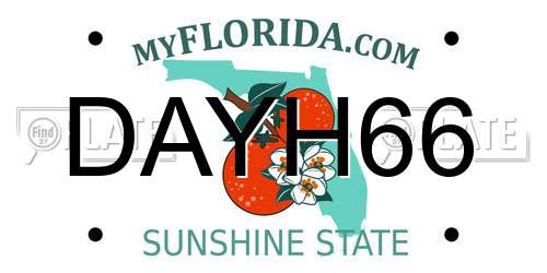 DAYH66 Florida License Plate