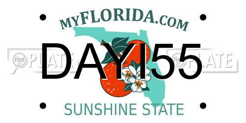 DAYI55 Florida License Plate
