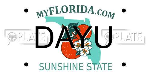 DAYU Florida License Plate