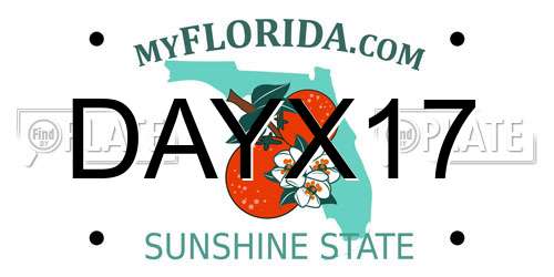 DAYX17 Florida License Plate