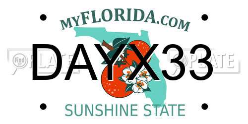 DAYX33 Florida License Plate