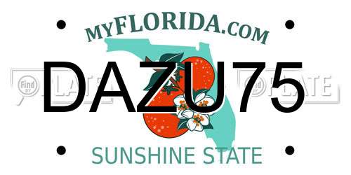 DAZU75 Florida License Plate