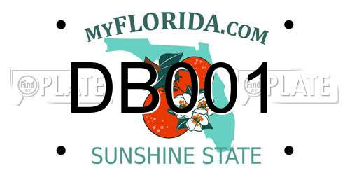DB001 Florida License Plate