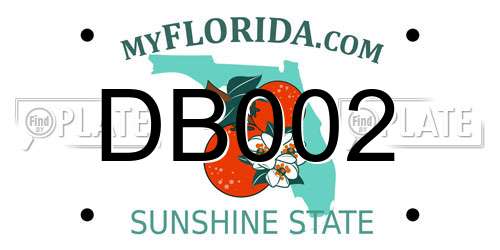 DB002 Florida License Plate