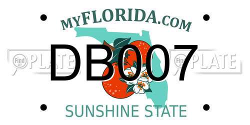 DB007 Florida License Plate