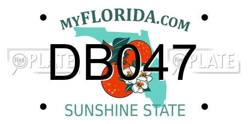 DB047 Florida License Plate