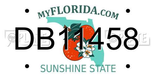 DB11458 Florida License Plate