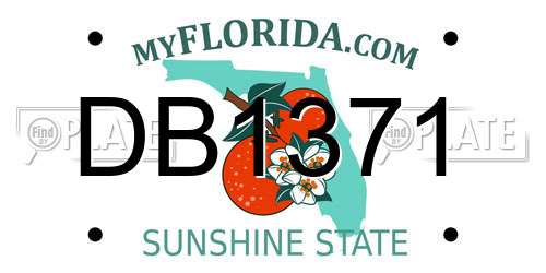 DB1371 Florida License Plate