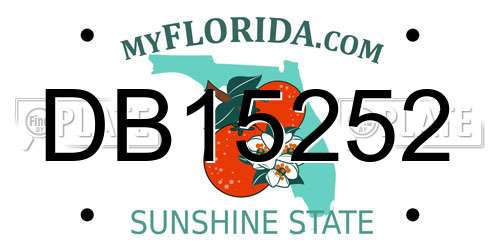 DB15252 Florida License Plate