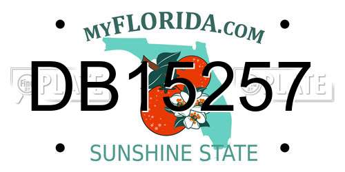 DB15257 Florida License Plate