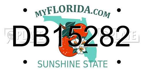 DB15282 Florida License Plate