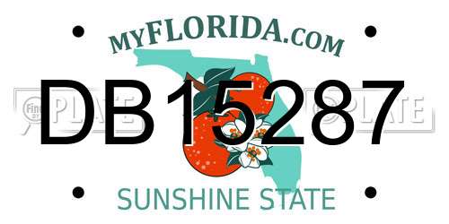 DB15287 Florida License Plate