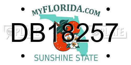 DB18257 Florida License Plate
