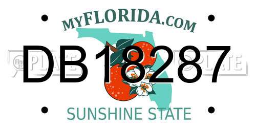 DB18287 Florida License Plate