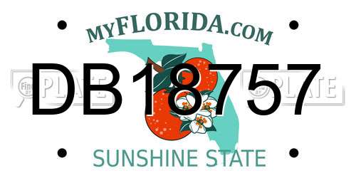 DB18757 Florida License Plate