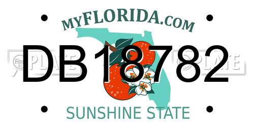 DB18782 Florida License Plate