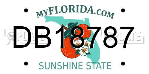 DB18787 Florida License Plate