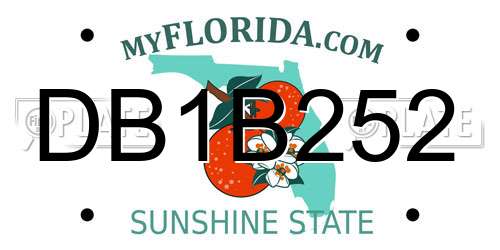 DB1B252 Florida License Plate