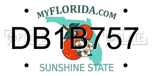 DB1B757 Florida License Plate