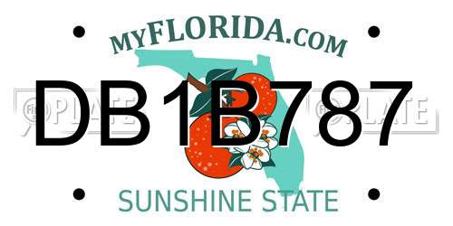 DB1B787 Florida License Plate