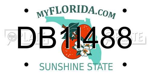 DB1I488 Florida License Plate