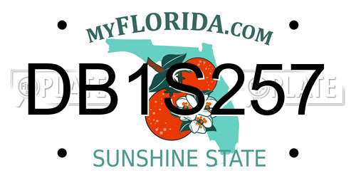 DB1S257 Florida License Plate