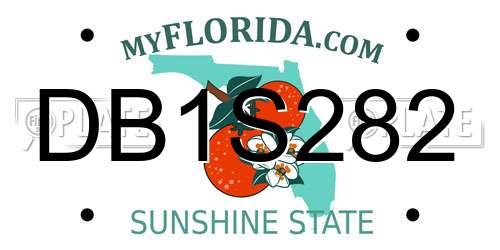 DB1S282 Florida License Plate