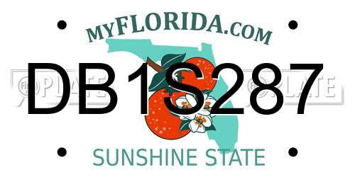 DB1S287 Florida License Plate
