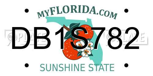 DB1S782 Florida License Plate