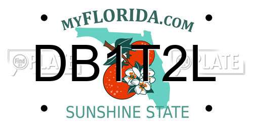 DB1T2L Florida License Plate