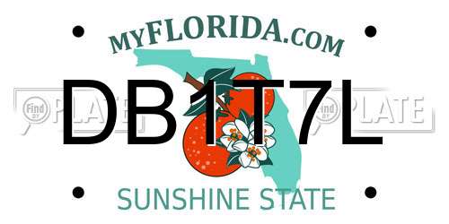 DB1T7L Florida License Plate