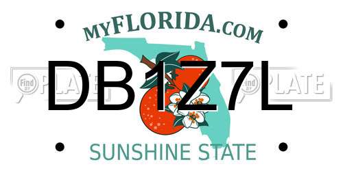 DB1Z7L Florida License Plate