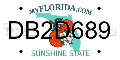DB2D689 Florida License Plate