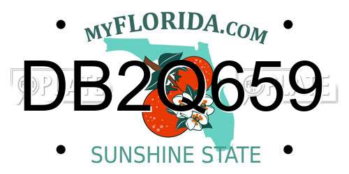 DB2Q659 Florida License Plate