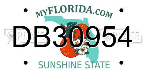 DB30954 Florida License Plate