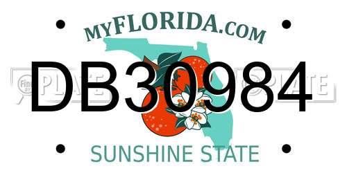 DB30984 Florida License Plate