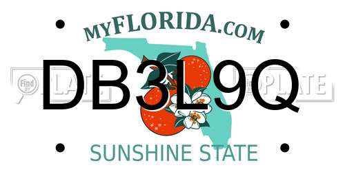DB3L9Q Florida License Plate