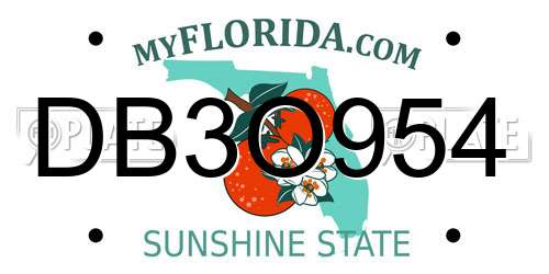 DB3O954 Florida License Plate