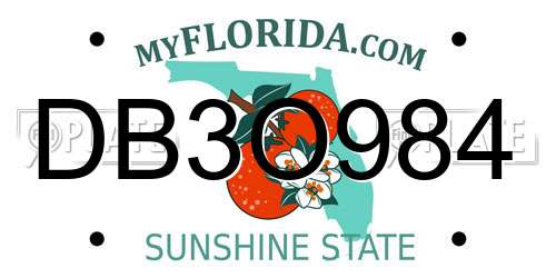 DB3O984 Florida License Plate